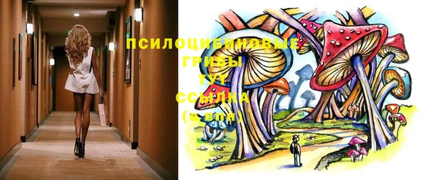 мяу мяу кристалл Покачи